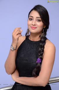 Bhanu Sri Telugu Heroine