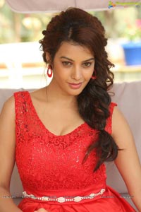 Diksha Panth Photos