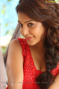 Diksha Panth Photos