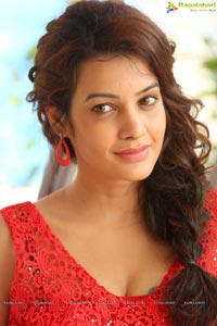 Diksha Panth Photos