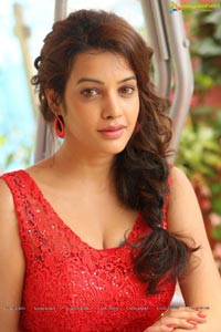 Diksha Panth Photos