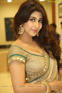 Sonarika Bhadoria Photos