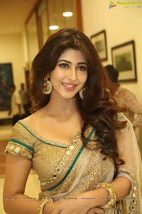 Sonarika Bhadoria Photos