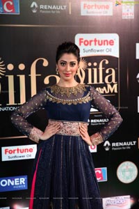 Raai Laxmi