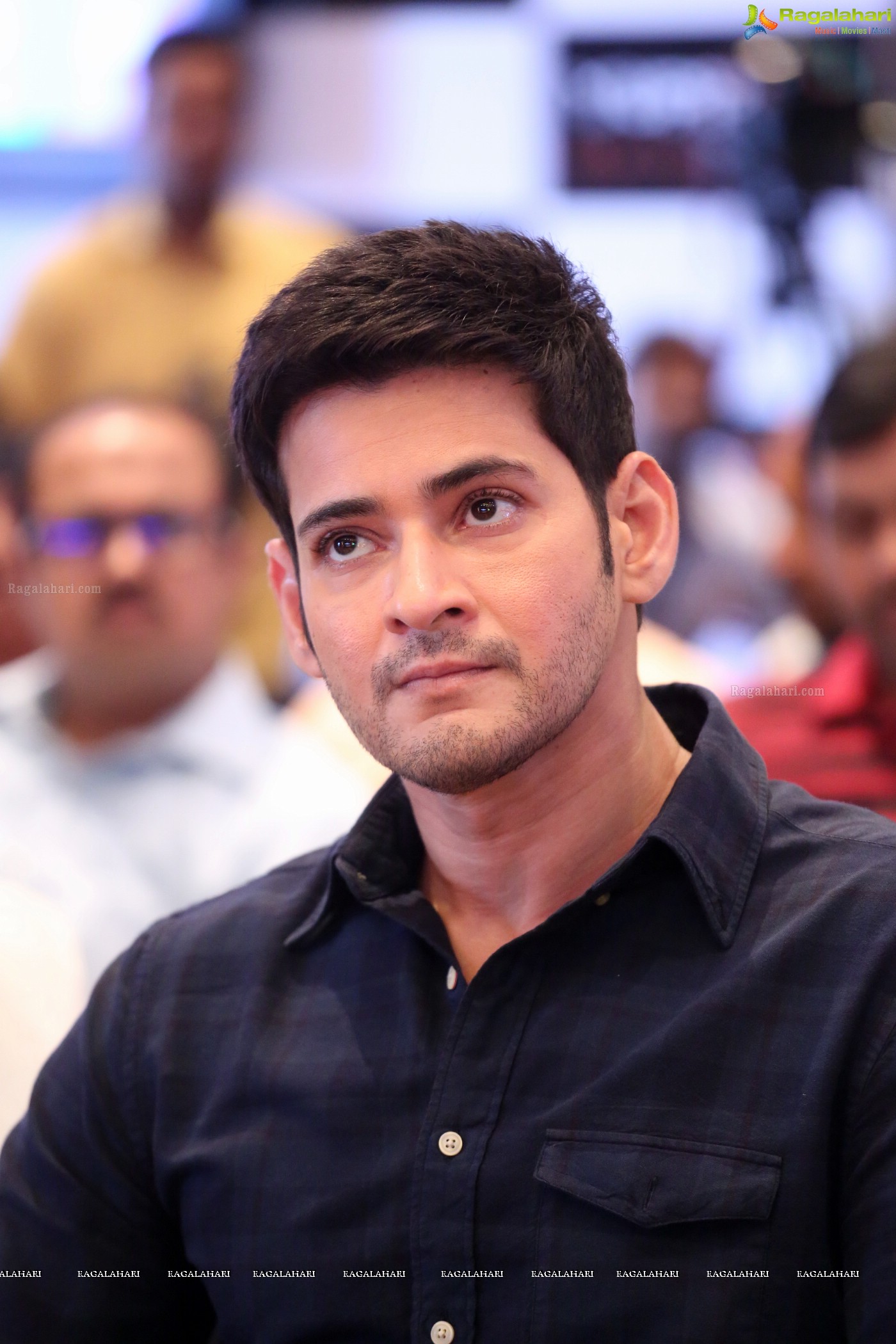 Mahesh Babu (Posters)