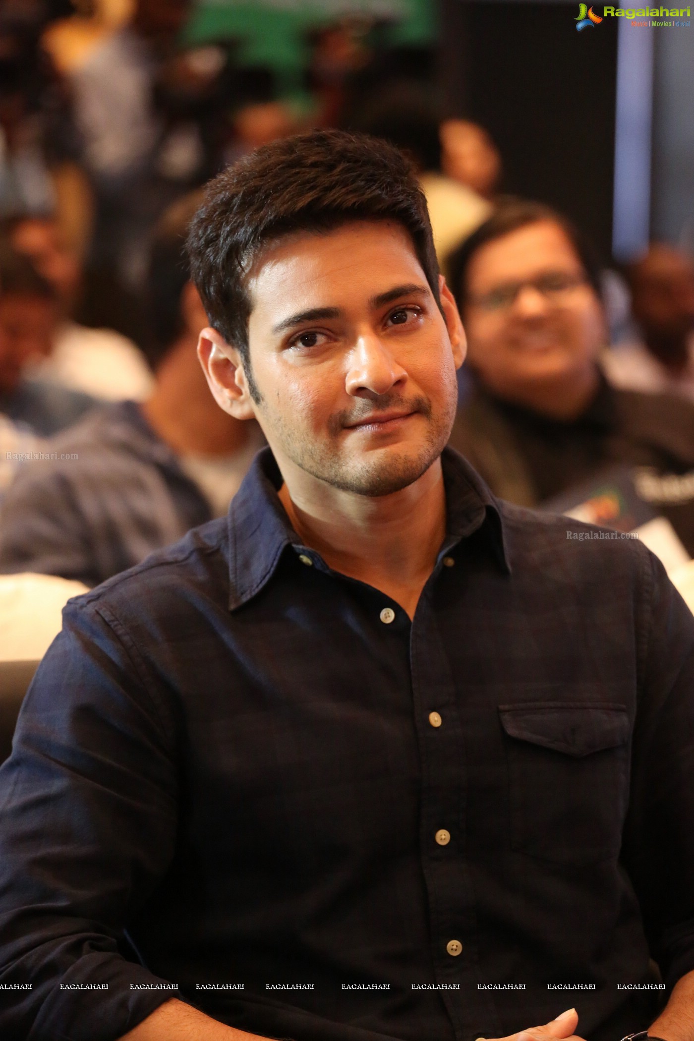 Mahesh Babu (Posters)