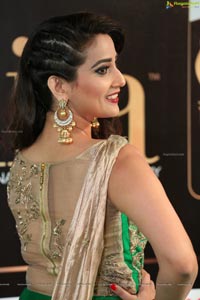 Manjusha IIFA 2017 Utsavam