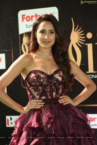 Pragya Jaiswal IIFA 2017