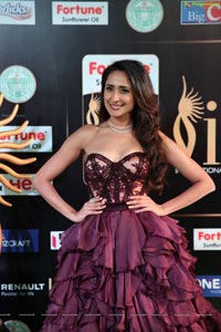 Pragya Jaiswal IIFA 2017