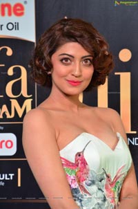 Pranitha Subhash IIFA 2017