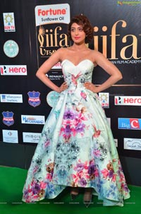 Pranitha Subhash IIFA 2017