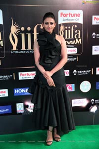 Rakul Preet Singh IIFA 2017