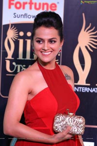 Shraddha Srinath IIFA 2017