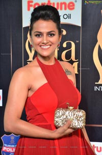 Shraddha Srinath IIFA 2017