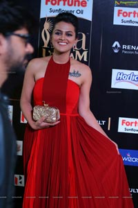 Shraddha Srinath IIFA 2017