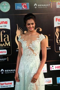 Shubra Aiyappa IIFA 2017