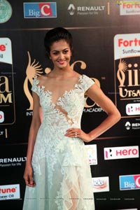 Shubra Aiyappa IIFA 2017