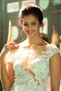 Shubra Aiyappa IIFA 2017