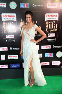 Shubra Aiyappa IIFA 2017