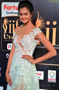 Shubra Aiyappa IIFA 2017