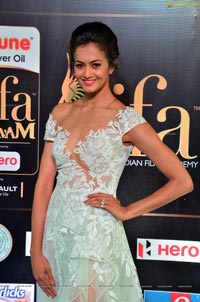 Shubra Aiyappa IIFA 2017