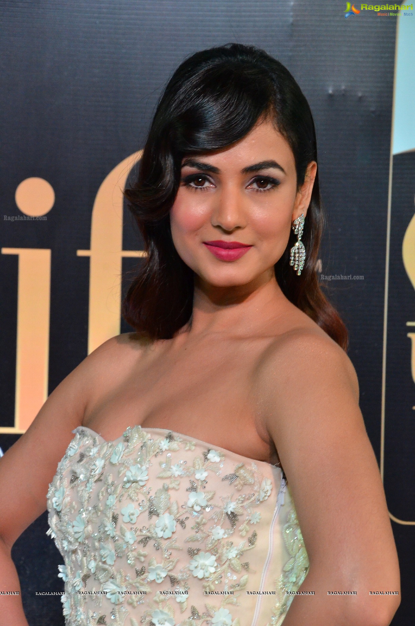 Sonal Chauhan (Posters)