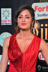 Vidisha Srivastava IIFA 2017