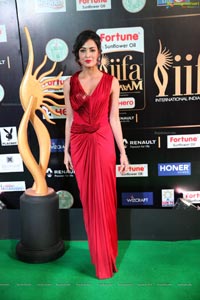Vidisha Srivastava IIFA 2017