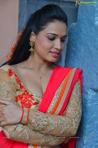 Actress Bhimbika