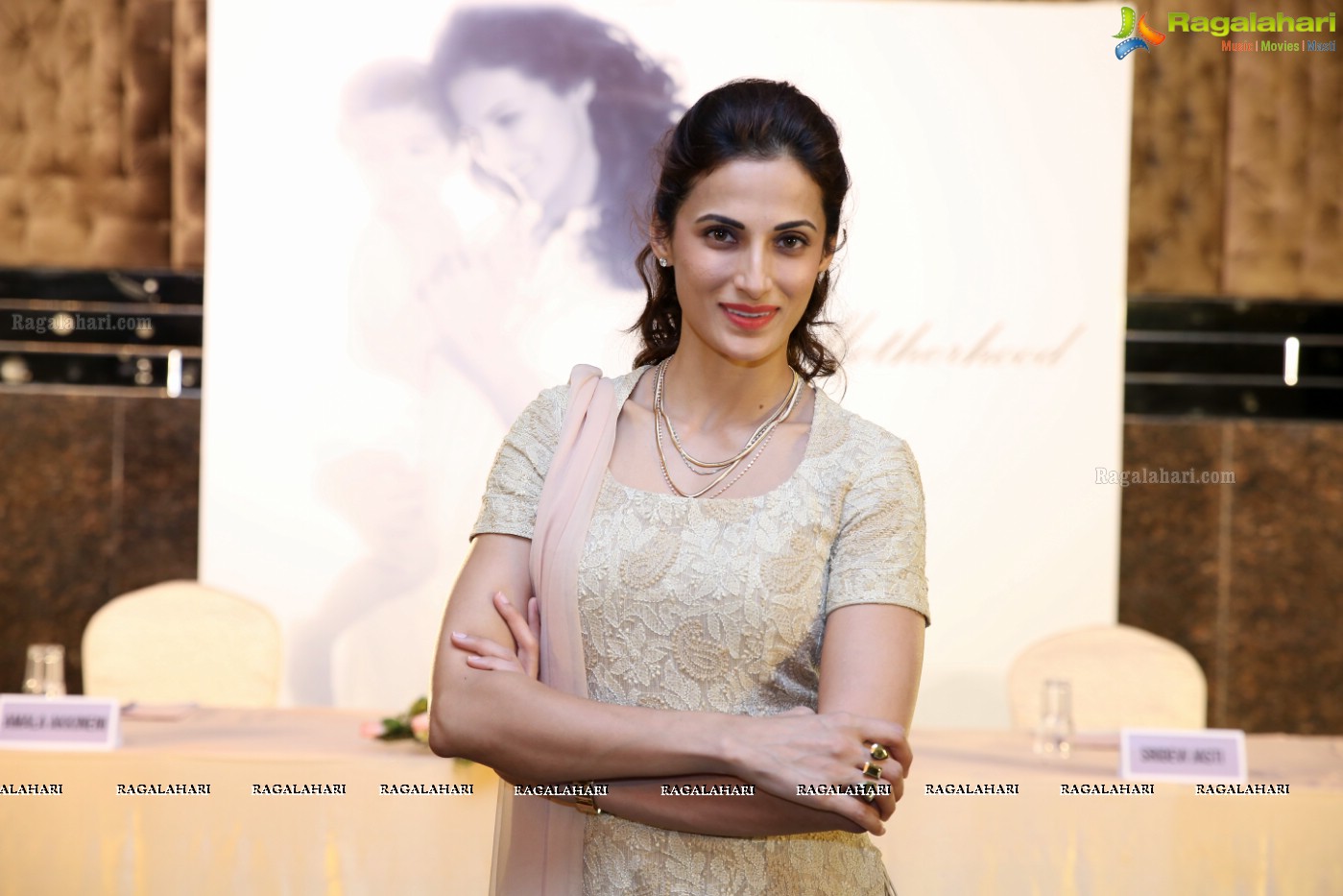 Shilpa Reddy at Journey to Motherhoood Blog Launch (Posters)