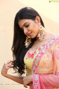 2 States Heroine Shivani Rajasekhar