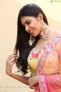 2 States Heroine Shivani Rajasekhar