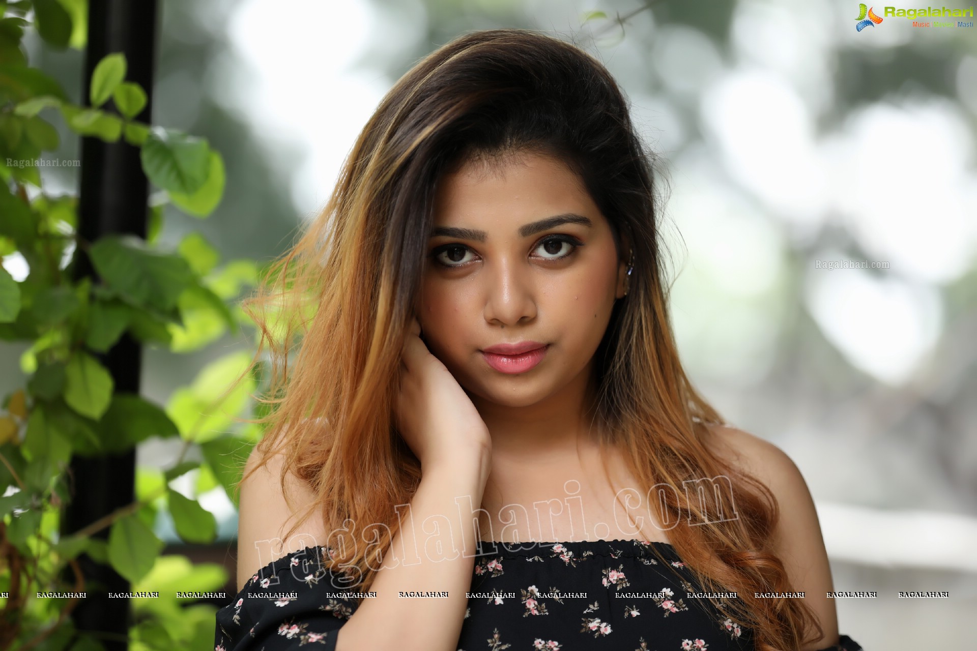 Nameera Mohammed (Exclusive Photo Shoot) (High Definition Photos)