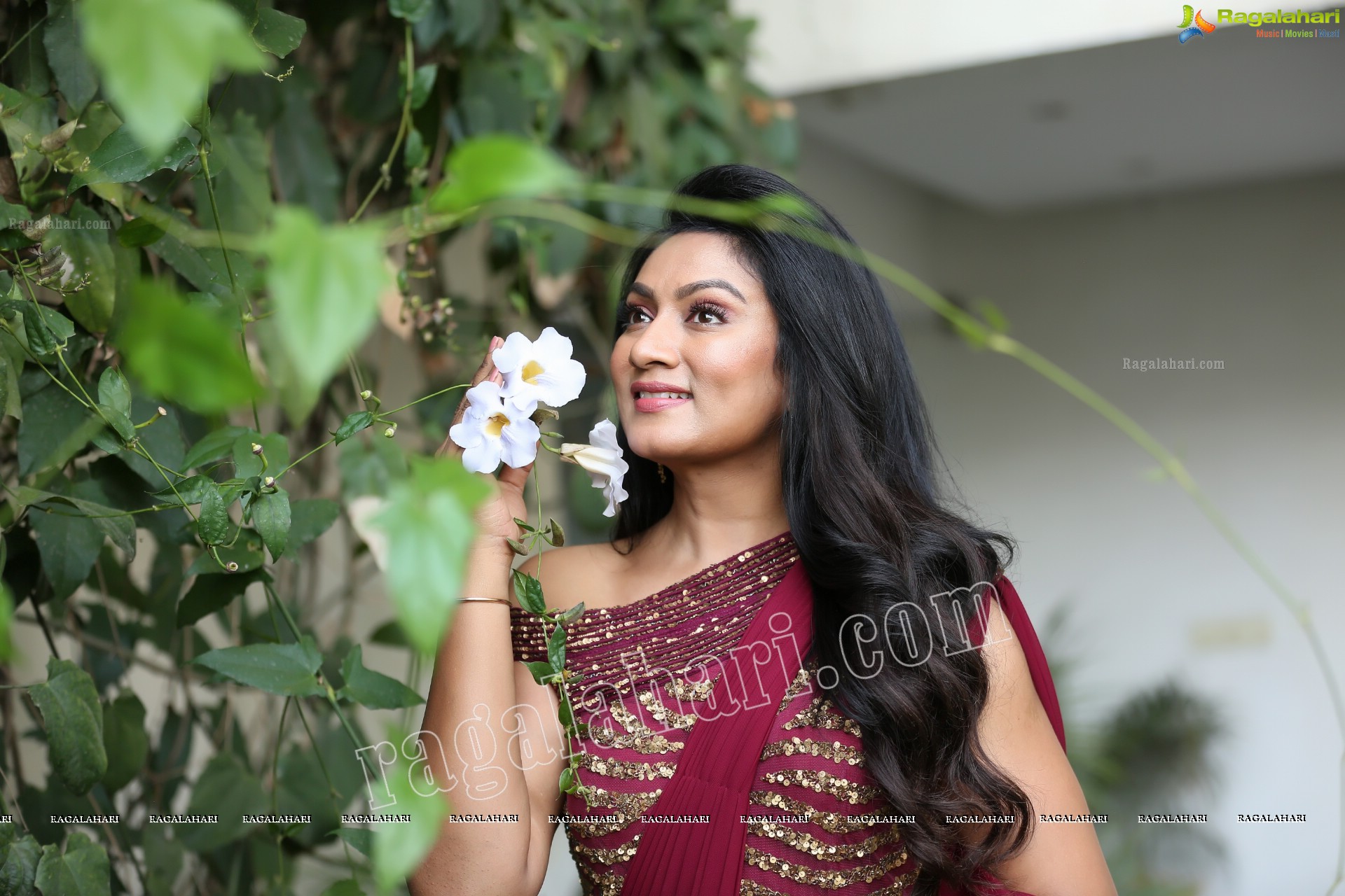 Ashmitha Karnani in Maroon Georgette Saree Exclusive Photo Shoot