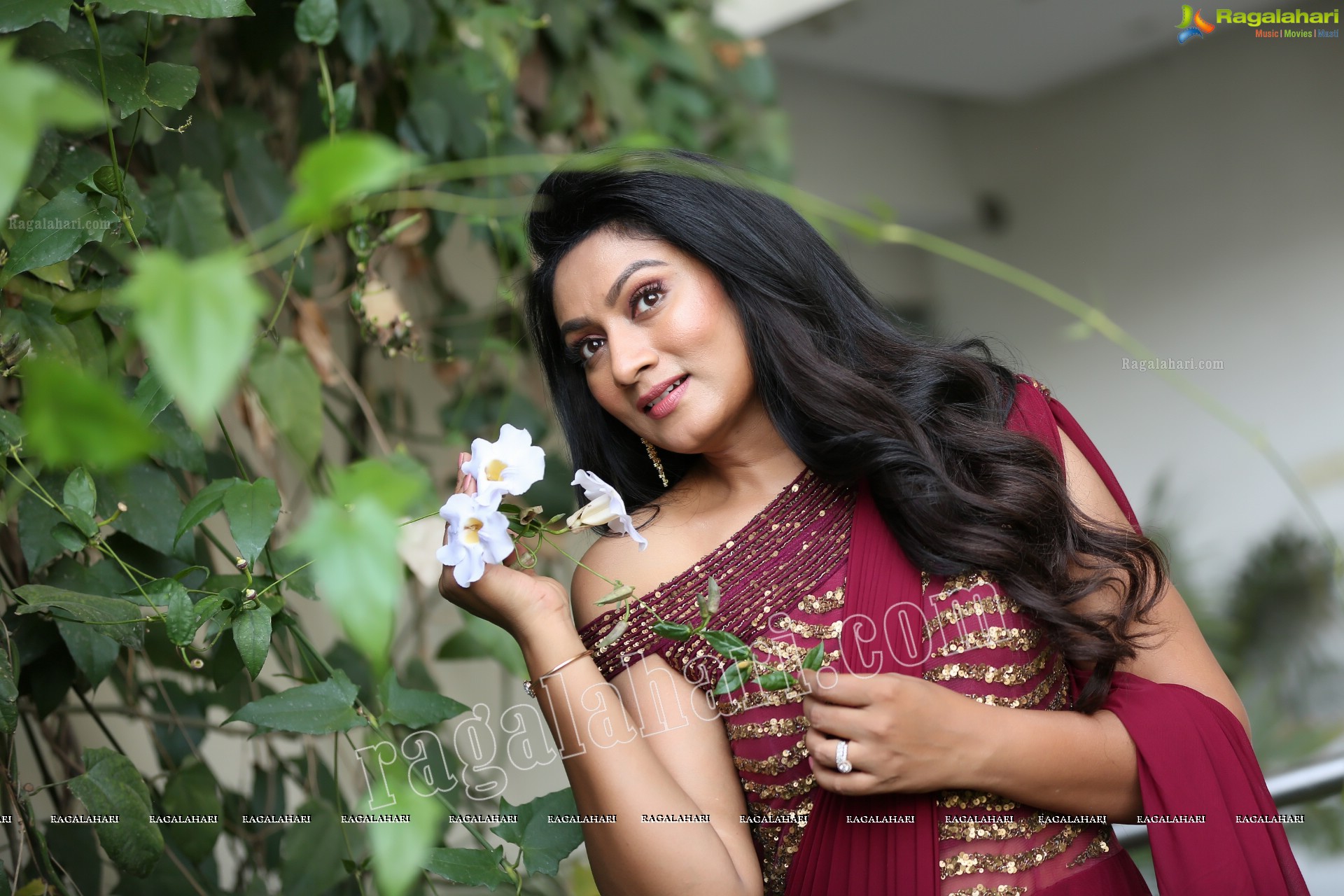 Ashmitha Karnani in Maroon Georgette Saree Exclusive Photo Shoot