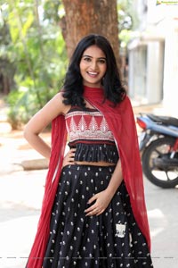 Ananya Nagalla at Playback Movie Success Meet