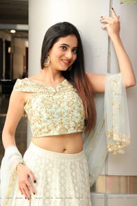 Dimple Thakur in Light Pastel Green Lehenga Choli