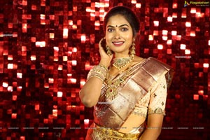 Bigg Boss 4 Telugu Contestant Divi Vadthya in Silk Saree