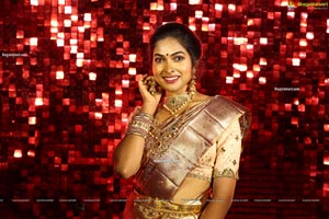 Bigg Boss 4 Telugu Contestant Divi Vadthya in Silk Saree