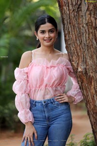 Hemal Ingle at Power Play Movie Success Meet