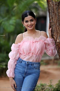 Hemal Ingle at Power Play Movie Success Meet