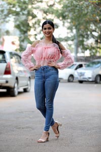 Hemal Ingle at Power Play Movie Success Meet