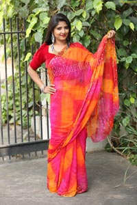 Shabeena Shaik in Beautiful Yellow and Pink Saree