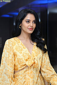 Bindu Madhavi HD photos at Anger Tales Pre-Release