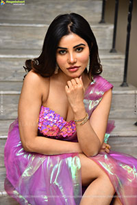 Krisheka Patel at Artiste Trailer Launch, HD Gallery 