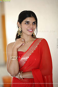 Gayathri Ramana at Mansion House Mallesh Press Meet