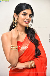Gayathri Ramana at Mansion House Mallesh Press Meet