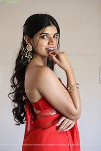 Gayathri Ramana at Mansion House Mallesh Press Meet