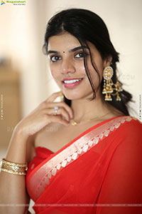 Gayathri Ramana at Mansion House Mallesh Press Meet