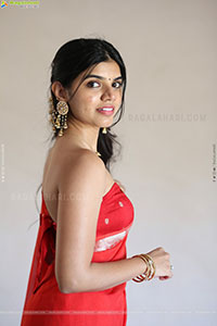 Gayathri Ramana at Mansion House Mallesh Press Meet